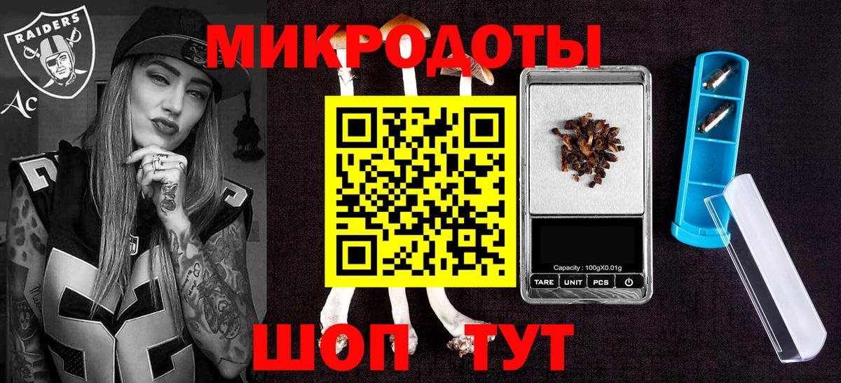 Псилоцибиновые грибы Cubensis Новоалександровск