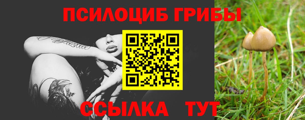 Псилоцибиновые грибы прущие грибы  Вход с VPN  Новоалександровск 